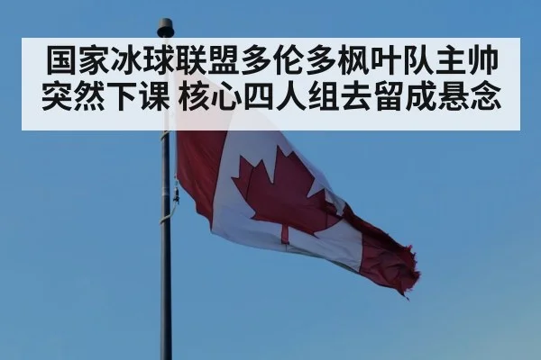 国家冰球联盟多伦多枫叶队主帅突然下课 核心四人组去留成悬念